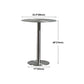 Modern Silver Metal Counter Table with Round Table Top Silver Pedestal Table Clearhalo 'Bar Furniture' 'Bar Tables' 'bar_tables' 'furn' 'furn_bar_tables' 'Furniture' 'furniture_bar_tables' 'Kitchen & Dining Furniture' 1200x1200_a8596da4-efd6-4503-9c86-6af6288f3d46