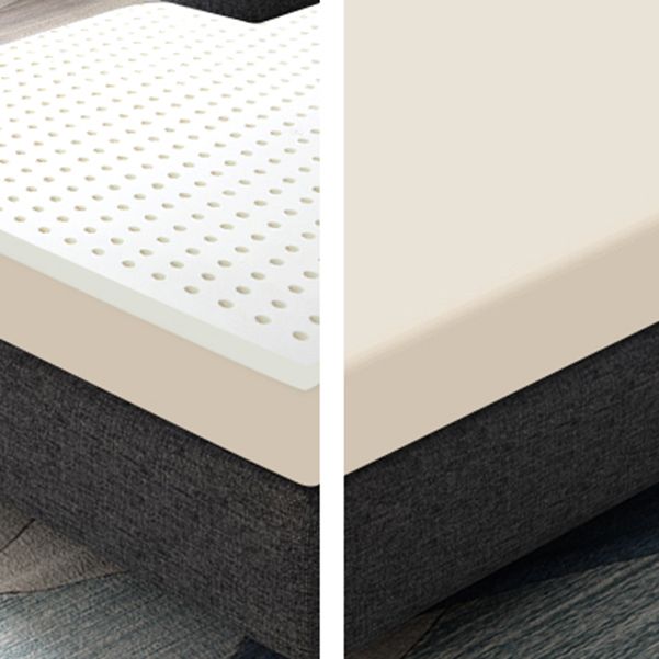 Nordic Recessed Arms Chaise Lounge with Cushioned for Bedroom and Living Room Clearhalo 'Chairs & Seating' 'Chaise Lounge' 'chaise_lounge' 'furn' 'furn_chaise_lounge' 'Furniture' 'Living Room Furniture' 1200x1200_a8852e5e-67b8-41dd-b7d0-7e08e26f4780