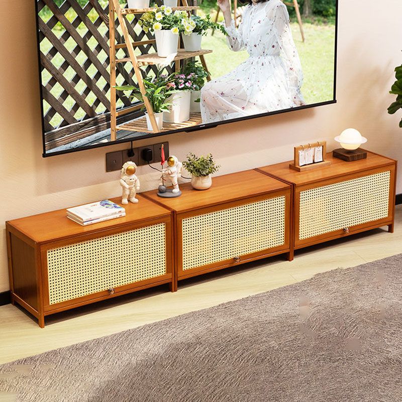 Enclosed Storage TV Console Scandinavian TV Media Console for Living Room Clearhalo 'furn' 'furn_tv_stands_entertainment_centers' 'Furniture' 'Living Room Furniture' 'TV Stands & Entertainment Centers' 'TV Stands & Media Storage Furniture' 'tv_stands_entertainment_centers' 1200x1200_a8aaa36d-a252-4138-a4d8-64dfa54cb556