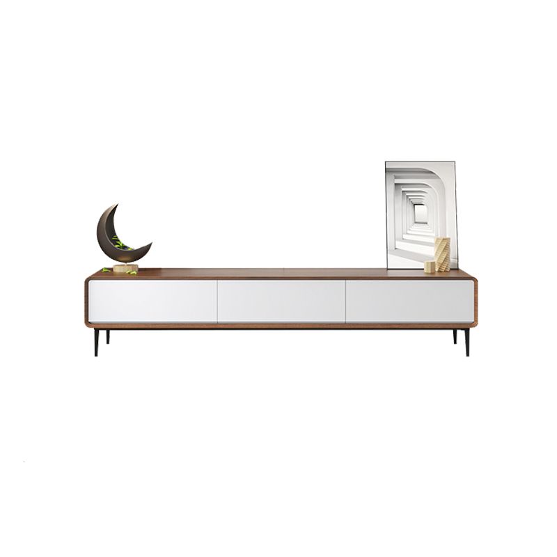 Scandinavian TV Stand Manufactured Wood Enclosed Storage TV Console