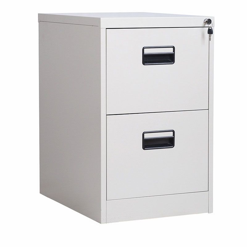 Vertical File Cabinet Metal Simple File Cabinet with Drawers for Office Clearhalo 'Filing Cabinets' 'filling_cabinets' 'furn' 'furn_filling_cabinets' 'Furniture' 'Office Furniture' 1200x1200_a931f34f-076a-44ef-92f8-e6416c20ccd4