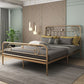 Glam Metallic Open-Frame Bed with with Rectangular Headboard and Footboard