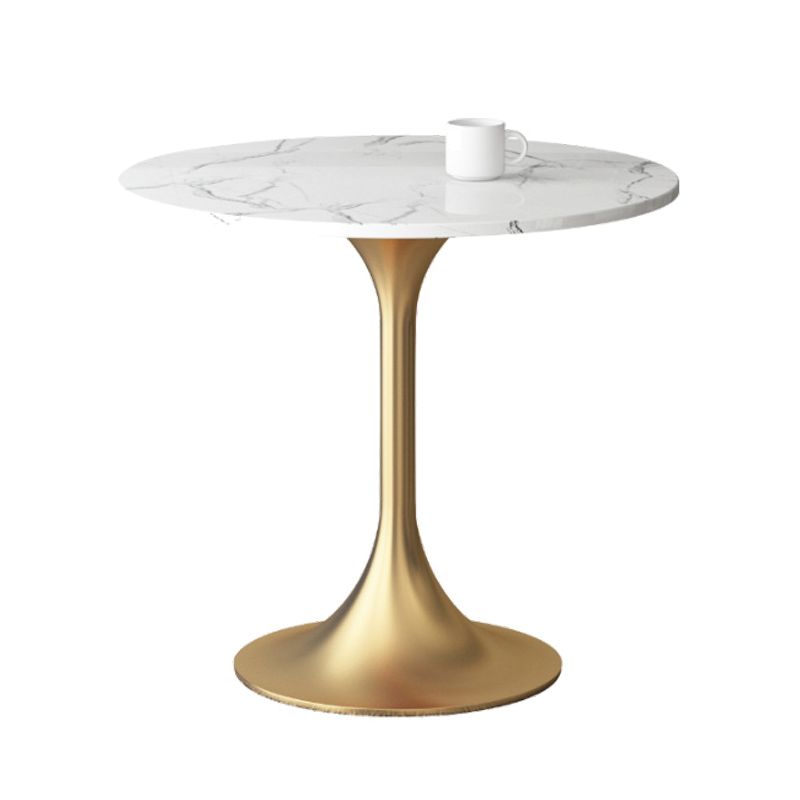 1/3/4/5 Pcs Metal Scandinavian Dining Room Set with Round Table Dinette Set Clearhalo 'Dining Room Sets' 'Dining Tables & Seating' 'dining_room_set' 'furn' 'furn_dining_room_set' 'Furniture' 'furniture_dining_room_set' 'Kitchen & Dining Furniture' 'kitchen&dining_furn' 'kitchen' 1200x1200_a95bb7bf-c267-49be-86ef-d50cbb1cd48b