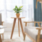 Contemporary Wooden Cocktail Table Round / Square / Triangle Top Coffee Table Clearhalo 'Coffee & Accent Tables' 'Coffee Tables' 'coffee_tables' 'furn' 'furn_coffee_tables' 'Furniture' 'Living Room Furniture' 1200x1200_a9b23729-e935-4484-b92e-a44caef45554