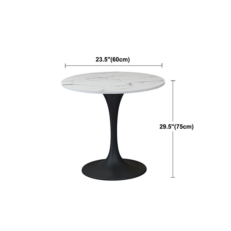 Modern Round Dining Table Sintered Stone Table with Tulip Base Clearhalo 'Dining Tables & Seating' 'Dining Tables' 'dining_table' 'furn' 'furn_dining_table' 'Furniture' 'Kitchen & Dining Furniture' 1200x1200_a9f4fd8e-f0b8-4f70-a69a-39f5b33b8f56