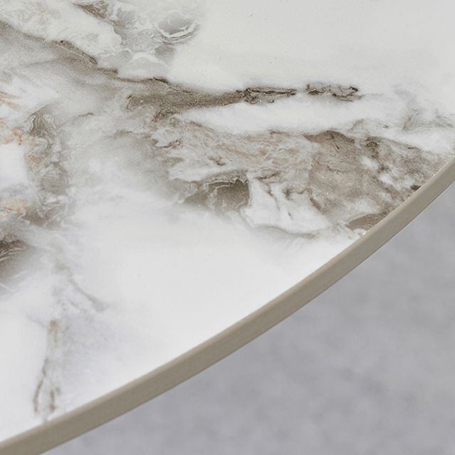 Contemporary Style Home Sintered Stone Dining Table Round Table with Tulip Base Clearhalo ' dining_table' 'Dining Tables & Seating' 'Dining Tables' 'furn' 'furn_dining_table' 'Furniture' 'furniture_dining_table' 'Kitchen & Dining Furniture' 'kitchen&dining_furn' 'kitchen' 'kitchen_dining_table' 1200x1200_aa0087e6-9160-4d21-ae83-4001640b31f9