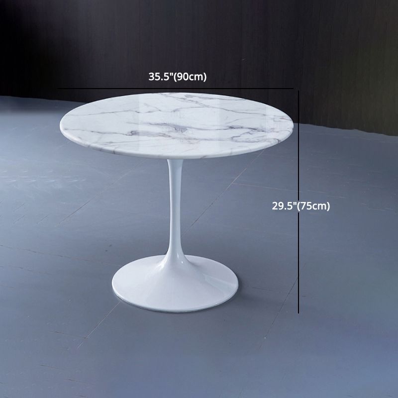 Modern 1/4/5 Pieces Sintered Stone Dining Set Dining Furniture Set /Separate Items Clearhalo 'Dining Room Sets' 'Dining Tables & Seating' 'dining_room_set' 'furn' 'furn_dining_room_set' 'Furniture' 'furniture_dining_room_set' 'Kitchen & Dining Furniture' 'kitchen&dining_furn' 'kitchen' 1200x1200_aa040dfb-8298-413c-ae93-2691f5eeea37