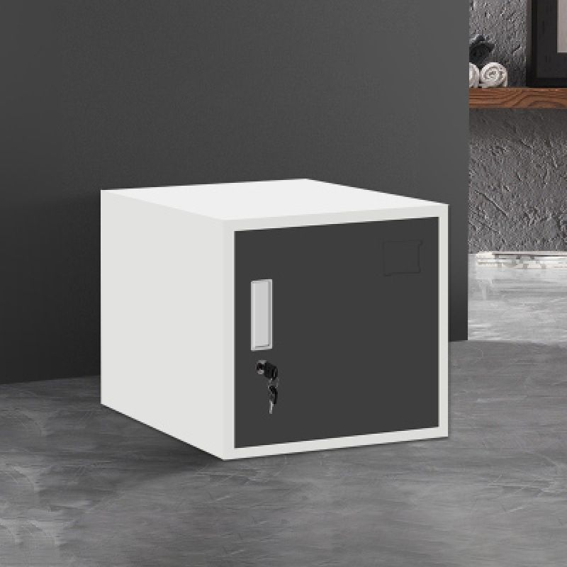 Traditional Metal Cabinet with Lock and Storage File Cabinet for Office Clearhalo 'Filing Cabinets' 'filling_cabinets' 'furn' 'furn_filling_cabinets' 'Furniture' 'Office Furniture' 1200x1200_aa1a3fc6-09d2-4e42-ae1e-39c52e637a8f