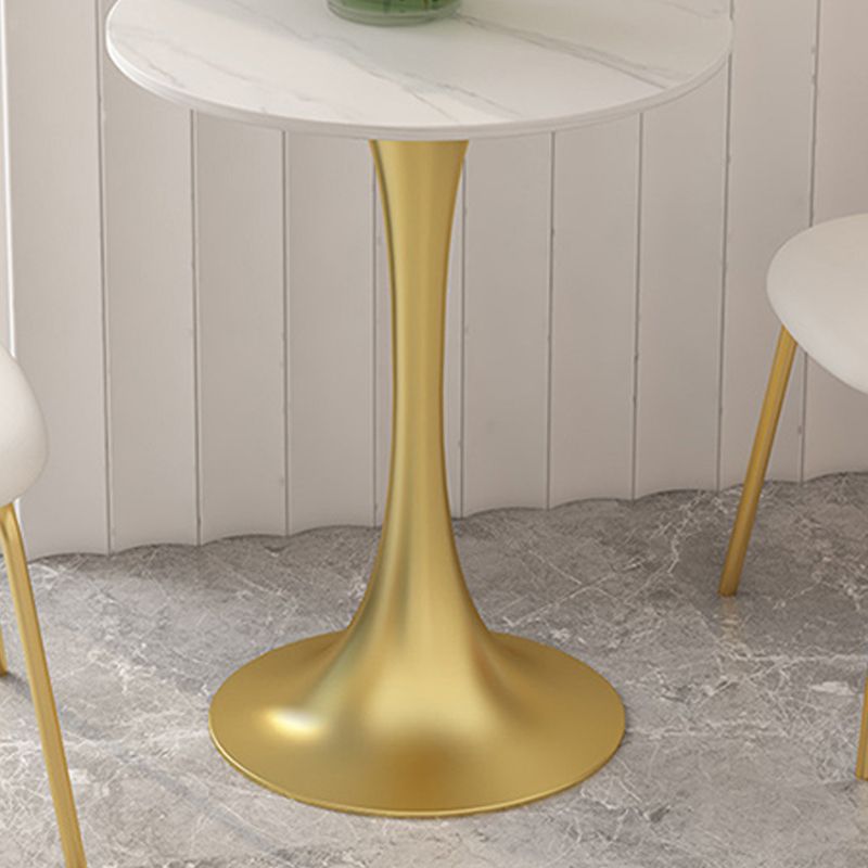Glam Sintered Stone Dining Table Metal Dining Table for Home Use Clearhalo 'Dining Tables & Seating' 'Dining Tables' 'dining_table' 'furn' 'furn_dining_table' 'Furniture' 'Kitchen & Dining Furniture' 1200x1200_aa484347-eada-4035-a375-827832dec14e