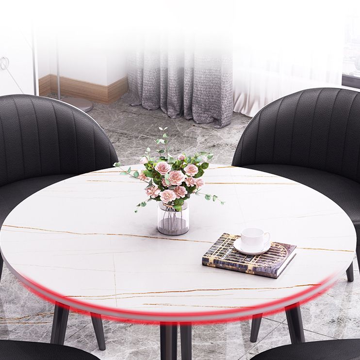 Round Shape 4 Legs Modern Dining Table White Fixed Table of Sintered Stone Clearhalo ' dining_table' 'Dining Tables & Seating' 'Dining Tables' 'furn' 'furn_dining_table' 'Furniture' 'furniture_dining_table' 'Kitchen & Dining Furniture' 'kitchen&dining_furn' 'kitchen' 'kitchen_dining_table' 1200x1200_aa7d8660-158d-4b72-9ae5-b56231f8723c