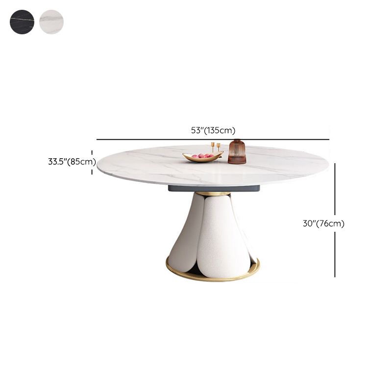 Contemporary Dining Room Dinner Table Pedestal Extendable Dining Table