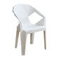 Modern Plastic Dining Arm Chairs Outdoor Side Back Patio Dining Armchairs Clearhalo ' kitchen&dining_furn' 'Dining Chairs' 'Dining Tables & Seating' 'dining_chair' 'furn' 'furn_dining_chair' 'Furniture' 'furniture_dining_chair' 'Kitchen & Dining Furniture' 'kitchen' 1200x1200_aa81bea5-a82b-4bdc-b35a-52471d268f5e