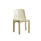 Modern Style Side Chair Plastic Dining Chair for Living Room