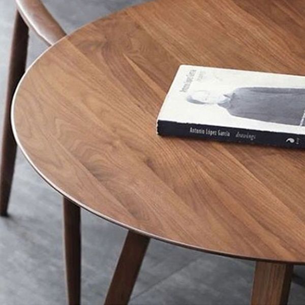 Solid Wood Double Pedestal Dinette Table Simplicity Dining Table Round for Home Clearhalo ' dining_table' 'Dining Tables & Seating' 'Dining Tables' 'furn' 'furn_dining_table' 'Furniture' 'furniture_dining_table' 'Kitchen & Dining Furniture' 'kitchen&dining_furn' 'kitchen' 'kitchen_dining_table' 1200x1200_aad98518-1749-4181-a4f6-38ceff7ac362