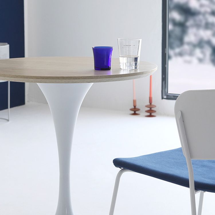 Contemporary Solid Wood Round Shape Dining Table Kitchen Standard Dining Table with Pedestal Base Clearhalo ' dining_table' 'Dining Tables & Seating' 'Dining Tables' 'furn' 'furn_dining_table' 'Furniture' 'furniture_dining_table' 'Kitchen & Dining Furniture' 'kitchen&dining_furn' 'kitchen' 'kitchen_dining_table' 1200x1200_aafeb87e-e987-4656-affa-f69921230975