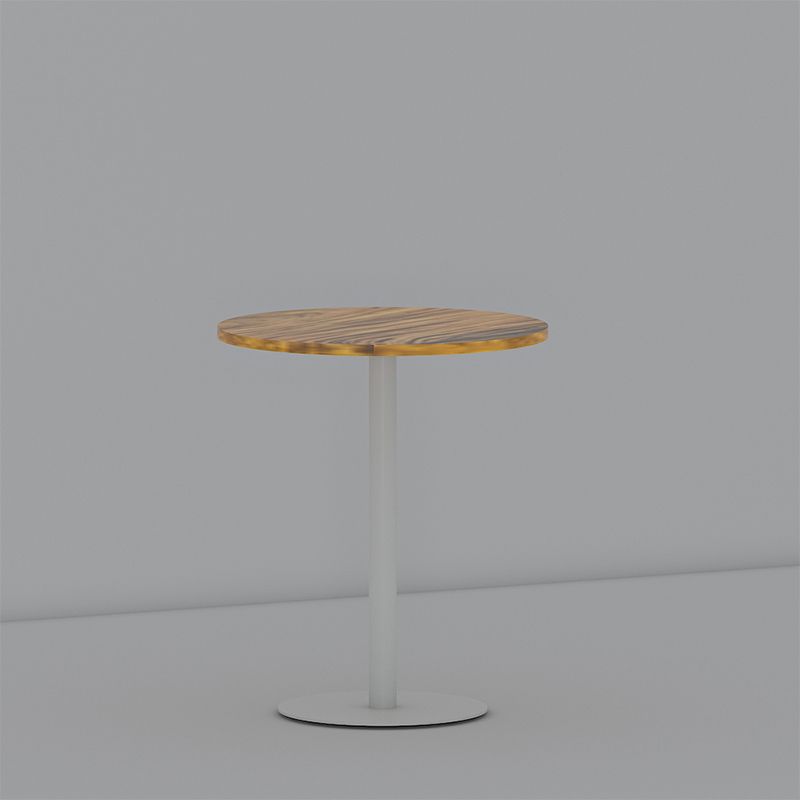 Tavolo di estremità del piedistallo rotondo Minimalista Legno late