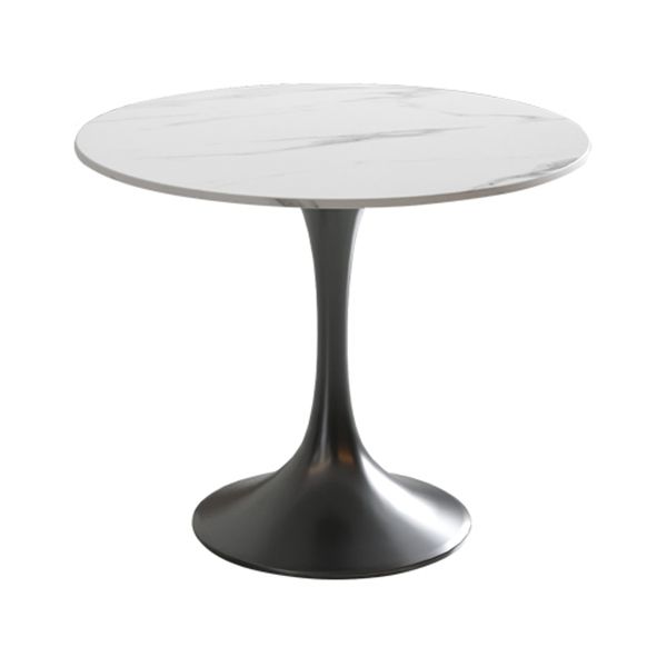 Round Sintered Stone White Dining Table Simplicity Tulip Table for Dining Room Clearhalo ' dining_table' 'Dining Tables & Seating' 'Dining Tables' 'furn' 'furn_dining_table' 'Furniture' 'furniture_dining_table' 'Kitchen & Dining Furniture' 'kitchen&dining_furn' 'kitchen' 'kitchen_dining_table' 1200x1200_ab1f0998-e4f7-407e-8e48-54f77e5885e5