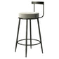 Modern Armless Backrest Counter Stool Iron Cashier Bar Stool with Cushion and Pedal Clearhalo 'Bar Furniture' 'Bar Stools' 'bar_stools' 'furn' 'furn_bar_stools' 'Furniture' 'furniture_bar_stools' 'Kitchen & Dining Furniture' 1200x1200_ab2f8dfe-febf-4357-a401-95d04cff9928