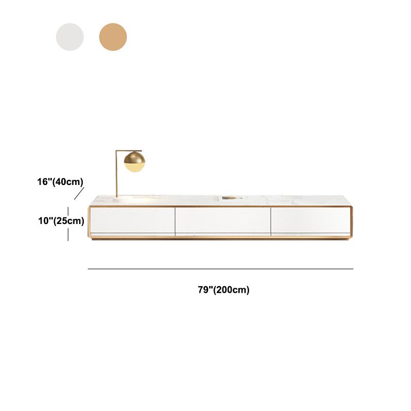 Nordic Simple TV Cabinet Modern Luxury Floor TV Cabinet for Living Room Clearhalo 'furn' 'furn_tv_stands_entertainment_centers' 'Furniture' 'Living Room Furniture' 'TV Stands & Entertainment Centers' 'TV Stands & Media Storage Furniture' 'tv_stands_entertainment_centers' 1200x1200_ab41faad-dcbd-41f2-8049-b33d33d06476