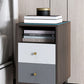 Contemporary Bed Nightstand Open Storage Night Table with 2 Drawers Clearhalo 'Bedroom Furniture' 'furn' 'furn_night_stand' 'Furniture' 'night_stand' 'Nightstands' 1200x1200_ab505980-5377-45f1-a0b3-097a7e652290