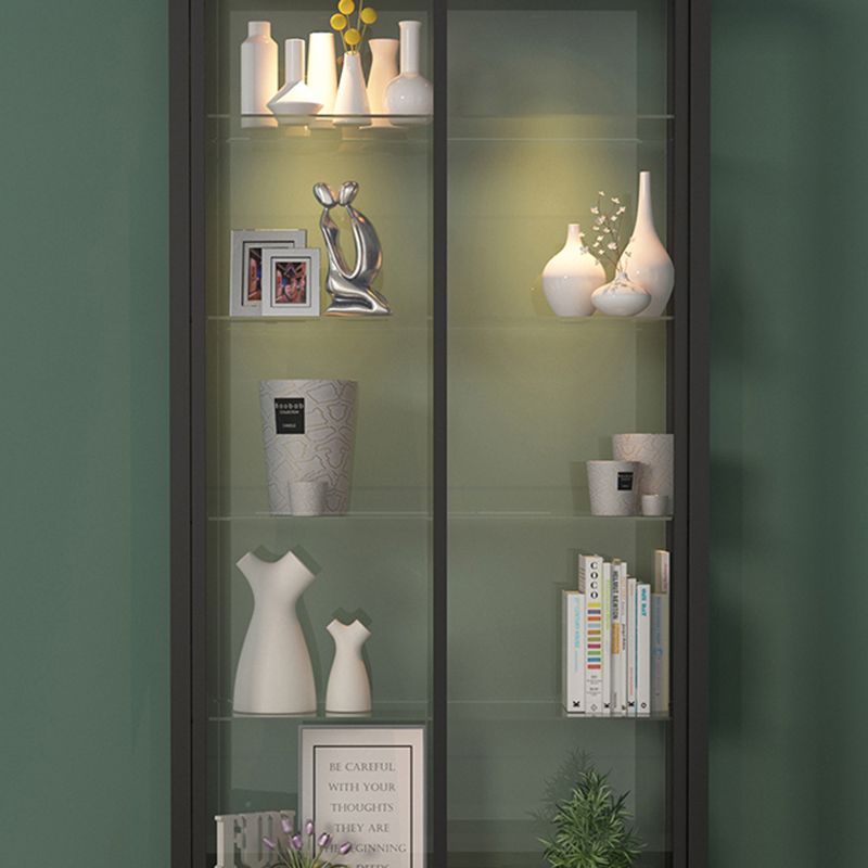 Modern Metal Curio Cabinet Glass Doors with Lighting, 31"L X 16"W Clearhalo 'Display & China Cabinets' 'display_china_cabinets' 'furn' 'furn_display_china_cabinets' 'Furniture' 'Kitchen & Dining Furniture' 1200x1200_ab851365-88c2-4d97-abd9-9f1ca13d0250