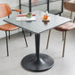 Industrial Style Dining Site Table Plastic Dining Room Collection with Tulip Base Clearhalo ' dining_table' 'Dining Tables & Seating' 'Dining Tables' 'furn' 'furn_dining_table' 'Furniture' 'furniture_dining_table' 'Kitchen & Dining Furniture' 'kitchen&dining_furn' 'kitchen' 'kitchen_dining_table' 1200x1200_ac0d21f5-6878-482c-acaf-ac5c8203dd61