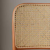 Traditional Style Dining Chair Solid Wood Cane Back Dining Room Chair Clearhalo 'Dining Chairs' 'Dining Tables & Seating' 'dining_chair' 'furn' 'furn_dining_chair' 'Furniture' 'Kitchen & Dining Furniture' 1200x1200_ac41e37f-d749-42c0-b717-9a0fef4f7624