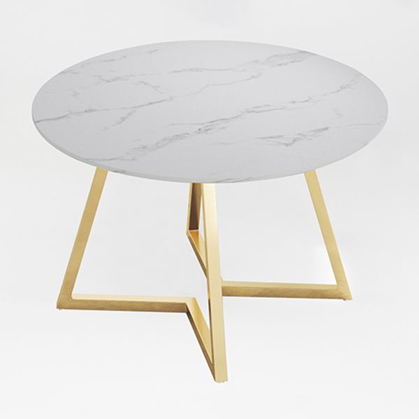 Traditional Luxury Round Double Pedestal Home Furniture Stone Dining Table Clearhalo ' dining_table' 'Dining Tables & Seating' 'Dining Tables' 'furn' 'furn_dining_table' 'Furniture' 'furniture_dining_table' 'Kitchen & Dining Furniture' 'kitchen&dining_furn' 'kitchen' 'kitchen_dining_table' 1200x1200_ac431dff-8bbf-44be-9577-1905d3c68ae9