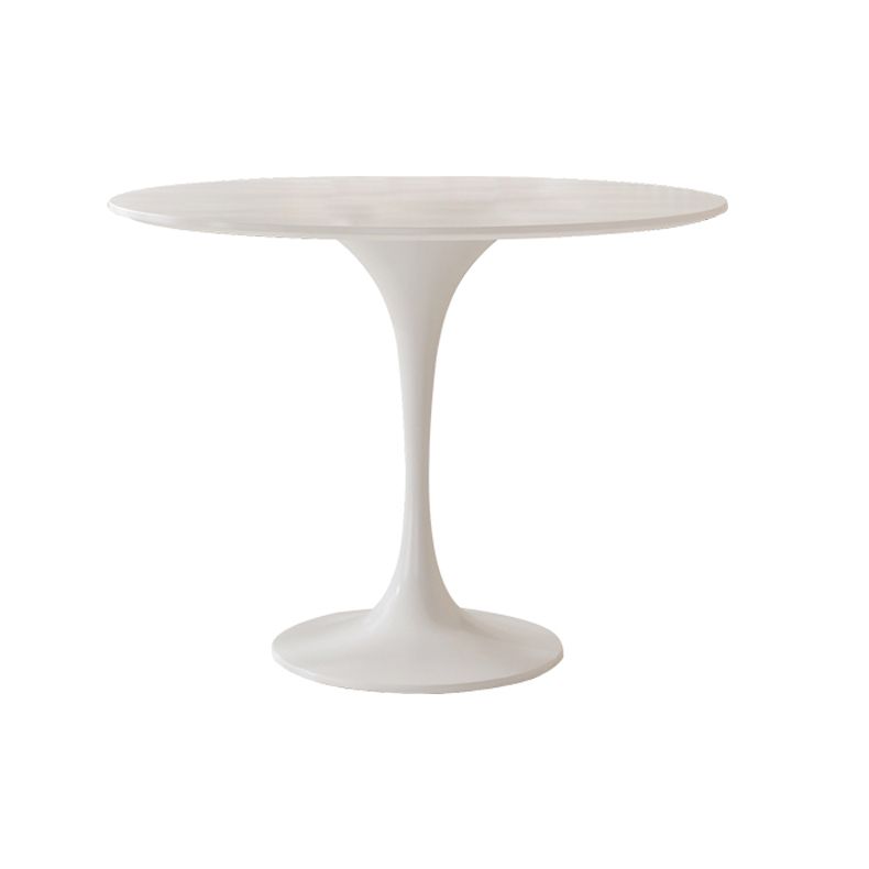 Modern 1/3/5 Pieces Dining Set Round Stone Dining Table for Kitchen Clearhalo 'Dining Room Sets' 'Dining Tables & Seating' 'dining_room_set' 'furn' 'furn_dining_room_set' 'Furniture' 'furniture_dining_room_set' 'Kitchen & Dining Furniture' 1200x1200_ac4aecfa-1462-45f4-a0bd-cff657e6cab9