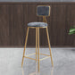 Glam Gold Legs Bar Stools Living Room Upholstered Counter Chair Clearhalo 'Bar Furniture' 'Bar Stools' 'bar_stools' 'furn' 'furn_bar_stools' 'Furniture' 'Kitchen & Dining Furniture' 1200x1200_ace61591-f798-4c96-8f68-c23a2991c0ce