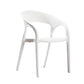 Modern Style Dining Chair Plastic Arm Chair with Plastic Legs for Kitchen
