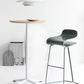 Armless Metal Indoor Bar Stool Scandinavian Plastic Stool with Footrest