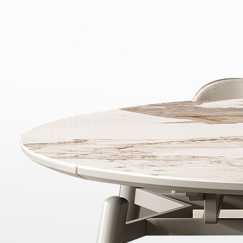 Modern Gray Round Shape Table Sintered Stone Kitchen Dining Table with 4 Legs Base Clearhalo ' dining_table' 'Dining Tables & Seating' 'Dining Tables' 'furn' 'furn_dining_table' 'Furniture' 'furniture_dining_table' 'Kitchen & Dining Furniture' 'kitchen&dining_furn' 'kitchen' 'kitchen_dining_table' 1200x1200_ae3af05c-15cd-4ec5-9baf-22f8d72595b4