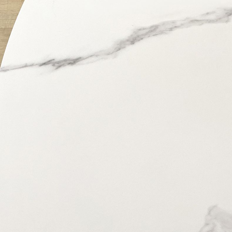 29.13''H Contemporary Round Dining Table Sintered Stone Table with 4 Black Metal Legs Clearhalo ' dining_table' 'Dining Tables & Seating' 'Dining Tables' 'furn' 'furn_dining_table' 'Furniture' 'furniture_dining_table' 'Kitchen & Dining Furniture' 'kitchen&dining_furn' 'kitchen' 'kitchen_dining_table' 1200x1200_ae4d9b55-739d-4175-a139-d9849d78eb14