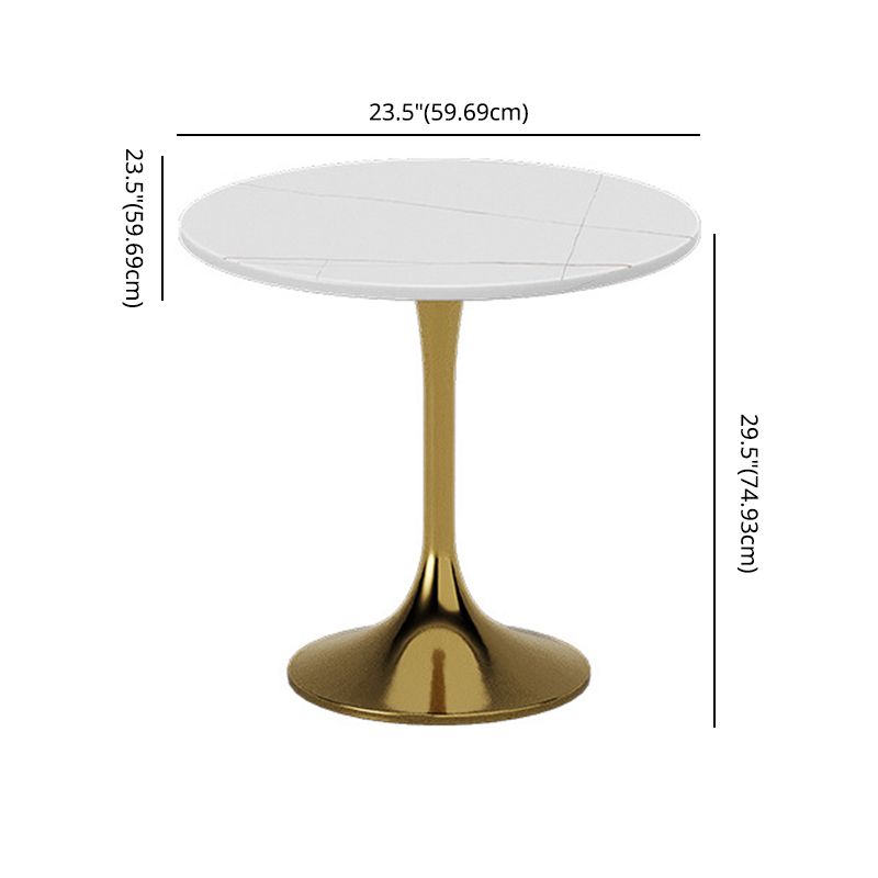 Glam Sintered Stone Dining Room Set with Round Table Formal Dining Table Furniture Clearhalo 'Dining Room Sets' 'Dining Tables & Seating' 'dining_room_set' 'furn' 'furn_dining_room_set' 'Furniture' 'furniture_dining_room_set' 'Kitchen & Dining Furniture' 'kitchen&dining_furn' 'kitchen' 1200x1200_ae53faae-b0ee-49af-a338-06f1f4096afe