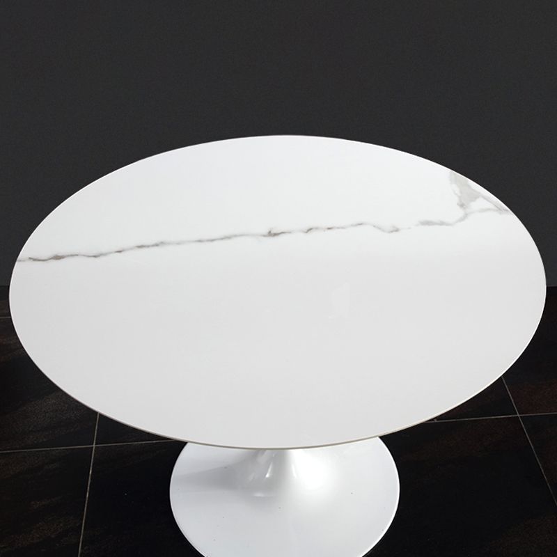 Modern Round Dining Room Table Sintered Stone Dining Table with Tulip Base Clearhalo ' dining_table' 'Dining Tables & Seating' 'Dining Tables' 'furn' 'furn_dining_table' 'Furniture' 'furniture_dining_table' 'Kitchen & Dining Furniture' 'kitchen&dining_furn' 'kitchen' 'kitchen_dining_table' 1200x1200_ae6b64e2-a752-46fd-aed2-97f36d2e33b1