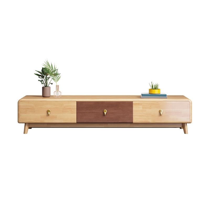 Contemporary Wood TV Stand Enclosed Storage TV Media Stand for Living Room Clearhalo 'furn' 'furn_tv_stands_entertainment_centers' 'Furniture' 'Living Room Furniture' 'TV Stands & Entertainment Centers' 'TV Stands & Media Storage Furniture' 'tv_stands_entertainment_centers' 1200x1200_ae891434-9161-4347-85dc-94dd42f93dd8