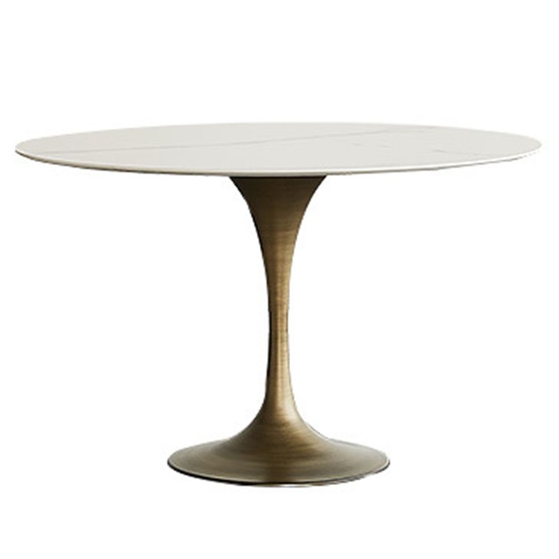 Contemporary Round Dining Table Sintered Stone Table with Brass Tulip Base Clearhalo ' dining_table' 'Dining Tables & Seating' 'Dining Tables' 'furn' 'furn_dining_table' 'Furniture' 'furniture_dining_table' 'Kitchen & Dining Furniture' 'kitchen&dining_furn' 'kitchen' 'kitchen_dining_table' 1200x1200_af07b383-c9b8-48b5-9cf3-ae154f308030