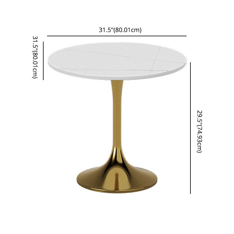 Glam Sintered Stone Dining Room Set with Round Table Formal Dining Table Furniture Clearhalo 'Dining Room Sets' 'Dining Tables & Seating' 'dining_room_set' 'furn' 'furn_dining_room_set' 'Furniture' 'furniture_dining_room_set' 'Kitchen & Dining Furniture' 'kitchen&dining_furn' 'kitchen' 1200x1200_af4060d5-2c29-448e-8438-b3109e5df190