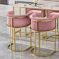Glam Style Luxury Upholstered Bar Stools Armless Backrest Stools for Home Clearhalo 'Bar Furniture' 'Bar Stools' 'bar_stools' 'furn' 'furn_bar_stools' 'Furniture' 'Kitchen & Dining Furniture' 1200x1200_af59c8aa-0f09-4e82-a865-835af669c30a