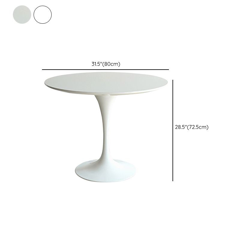 White Modern Round Stone Tabletop Dining Table with Tulip Base Clearhalo 'Dining Tables & Seating' 'Dining Tables' 'dining_table' 'furn' 'furn_dining_table' 'Furniture' 'Kitchen & Dining Furniture' 1200x1200_afe4aa07-e3df-49e6-9e3b-beb1002c3f6d