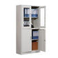 Modern File Cabinet Glass Doors Lock Storage Vertical Filing Cabinet Clearhalo 'Filing Cabinets' 'filling_cabinets' 'furn' 'furn_filling_cabinets' 'Furniture' 'Office Furniture' 1200x1200_b09e94f9-c52d-45c0-beff-52f11c3931c9