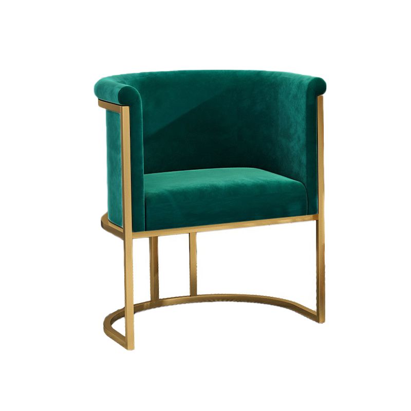 Nordic Arms Included with Goldtone Legs Fixed Back Accent Armchair Clearhalo 'Accent Chairs' 'accent_chairs' 'Chairs & Seating' 'furn' 'furn_accent_chairs' 'Furniture' 'Living Room Furniture' 1200x1200_b0fcb311-14fd-4cb4-968f-7f0986d50a34