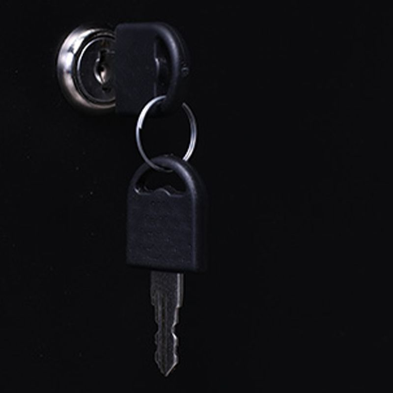 Industrial File Cabinet Steel Frame Key Lock Lateral File Cabinet for Office Clearhalo 'Filing Cabinets' 'filling_cabinets' 'furn' 'furn_filling_cabinets' 'Furniture' 'Office Furniture' 1200x1200_b118e631-7c89-42bd-a836-4b218359a040