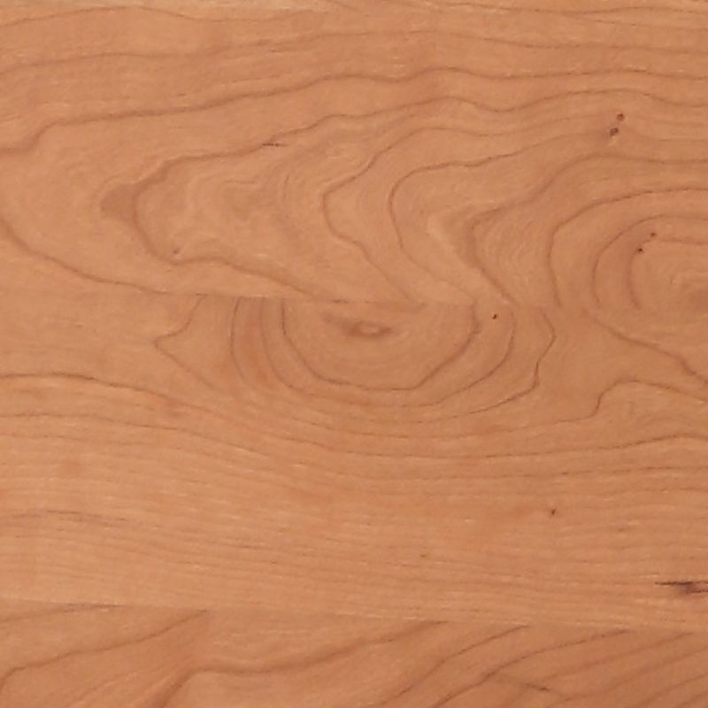 Modern Style Dining Table Rectangle Wood Top Table for Dining Room Clearhalo 'Dining Tables & Seating' 'Dining Tables' 'dining_table' 'furn' 'furn_dining_table' 'Furniture' 'Kitchen & Dining Furniture' 1200x1200_b151a7aa-8626-4c07-9778-46d565b6af71