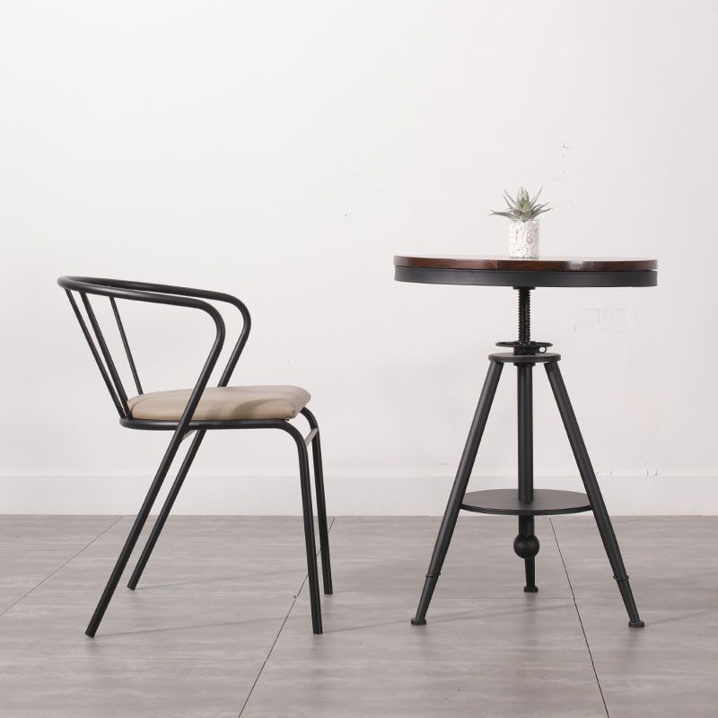 Contemporary Chairs Dining Arm Windsor Back Side Chairs with Metal Legs for Kitchen Clearhalo 'Dining Chairs' 'Dining Tables & Seating' 'dining_chair' 'furn' 'furn_dining_chair' 'Furniture' 'Kitchen & Dining Furniture' 1200x1200_b15e48e4-63e0-4276-b48e-b7f70ff4e456