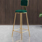 Glam Armless Backrest Counter Stool Steel Cashier Bar Stool with Flannel Cushion and Pedal Clearhalo 'Bar Furniture' 'Bar Stools' 'bar_stools' 'furn' 'furn_bar_stools' 'Furniture' 'furniture_bar_stools' 'Kitchen & Dining Furniture' 1200x1200_b19ac836-d1b3-4289-b44f-797d89d43dda