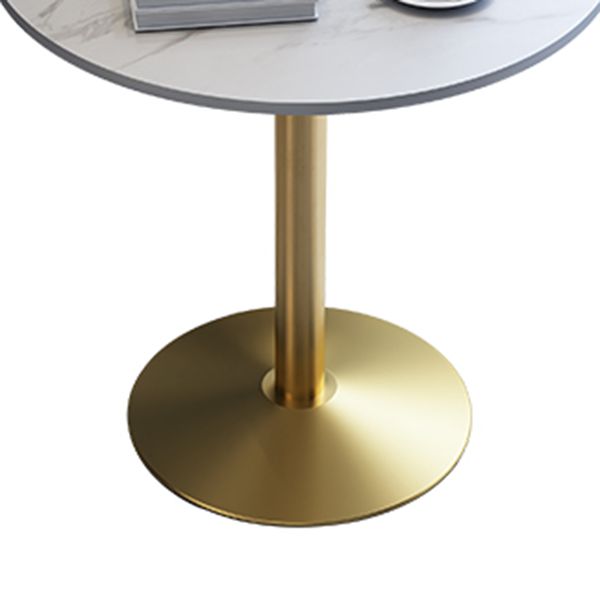 Traditional Luxury Round Dining Room Table Sintered Stone Table with Pedestal Base Clearhalo ' dining_table' 'Dining Tables & Seating' 'Dining Tables' 'furn' 'furn_dining_table' 'Furniture' 'furniture_dining_table' 'Kitchen & Dining Furniture' 'kitchen&dining_furn' 'kitchen' 'kitchen_dining_table' 1200x1200_b1d0e6f8-225a-450c-9e30-e69f9b20f262