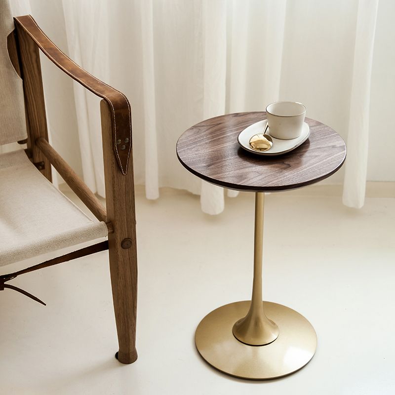 Scandinavian Round Solid Wood Top Side Table Metal Pedestal End Table Clearhalo 'Coffee & Accent Tables' 'End & Side Tables' 'end_side_tables' 'furn' 'furn_end_side_tables' 'Furniture' 'Living Room Furniture' 1200x1200_b23df987-332a-4831-9c35-71ca48a2a0b9