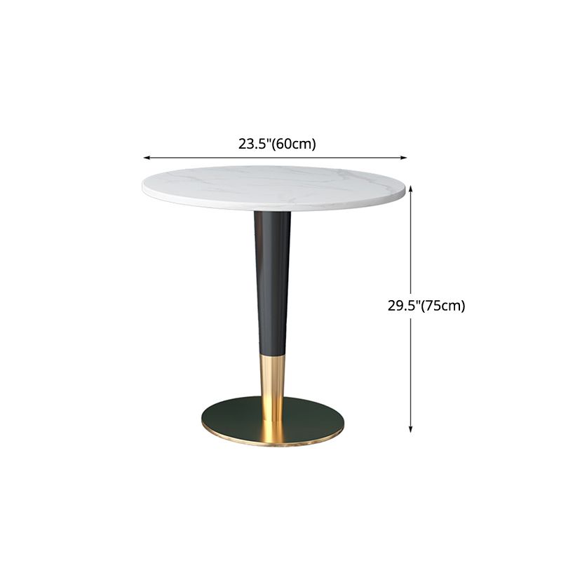 Glam 1/2 Pieces Dining Set Sintered Stone Dining Furniture for Home Use Clearhalo 'Dining Room Sets' 'Dining Tables & Seating' 'dining_room_set' 'furn' 'furn_dining_room_set' 'Furniture' 'furniture_dining_room_set' 'Kitchen & Dining Furniture' 'kitchen&dining_furn' 'kitchen' 1200x1200_b29cb404-0739-412e-8659-6b3078ee241a